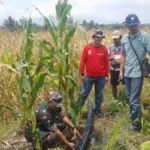 Lahan mengering, air dari bendungan Citikey disedot pakai mesin pompa