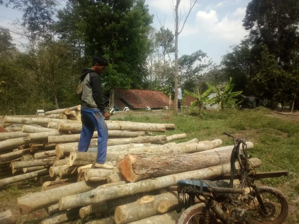 ojek angkut kayu (ojek palang) di Desa Majasari, Kecamatan Cibiuk