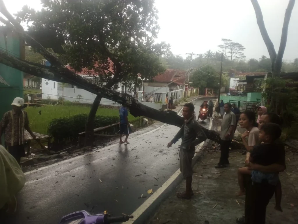 Pohon tumbang digergaji karena menghalangi jalan.(pepen apendi)