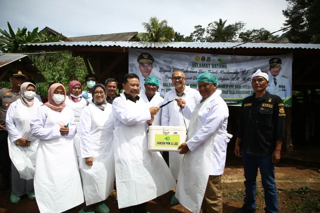 Gerakan Ring Vaksinasi PMK Upaya Hentikan Penyebaran Virus ke Hewan Ternak di Kabupaten Garut (foto istimewa)