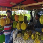 Penjual buah durian di Garut (Rizki/Radar Garut)