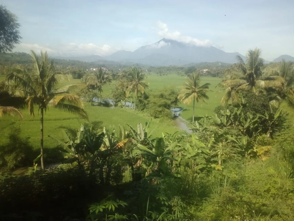 Selokan Cibudug betulan Cimuncang Negla Desa Sindangsari Kecamatan Leuwigoong, lokasi hanyutnya Ilham murid SD