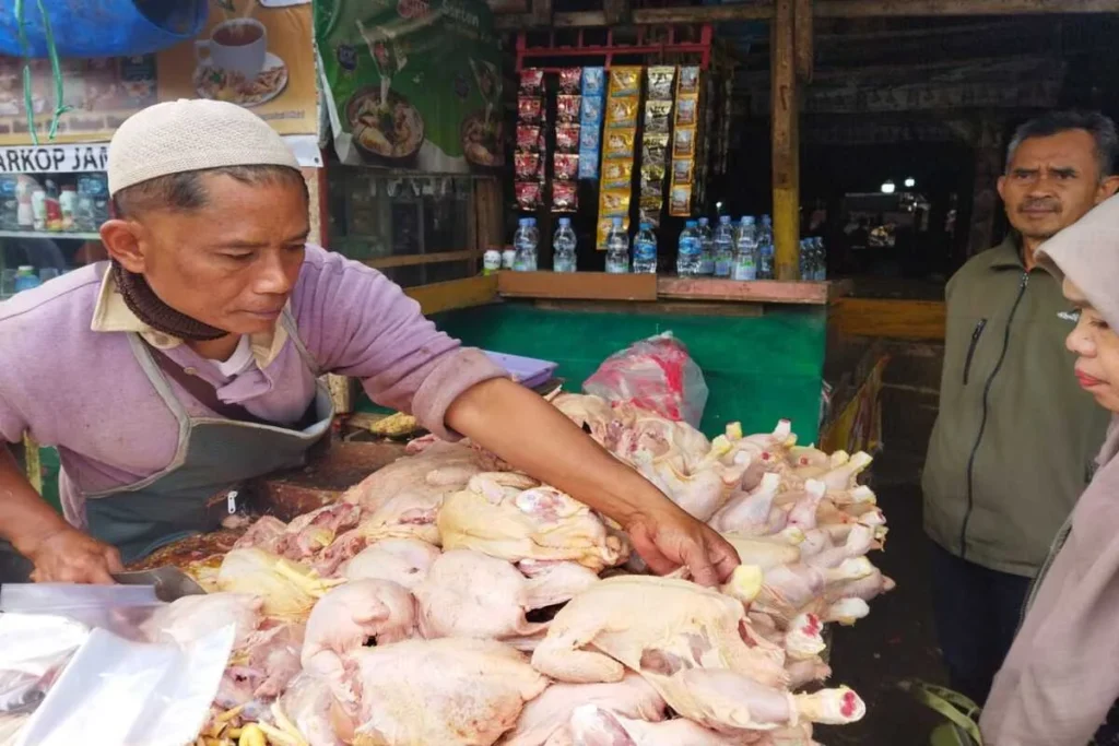 penjual ayam pedaging di pasar Ciawitali Garut