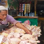 penjual ayam pedaging di pasar Ciawitali Garut