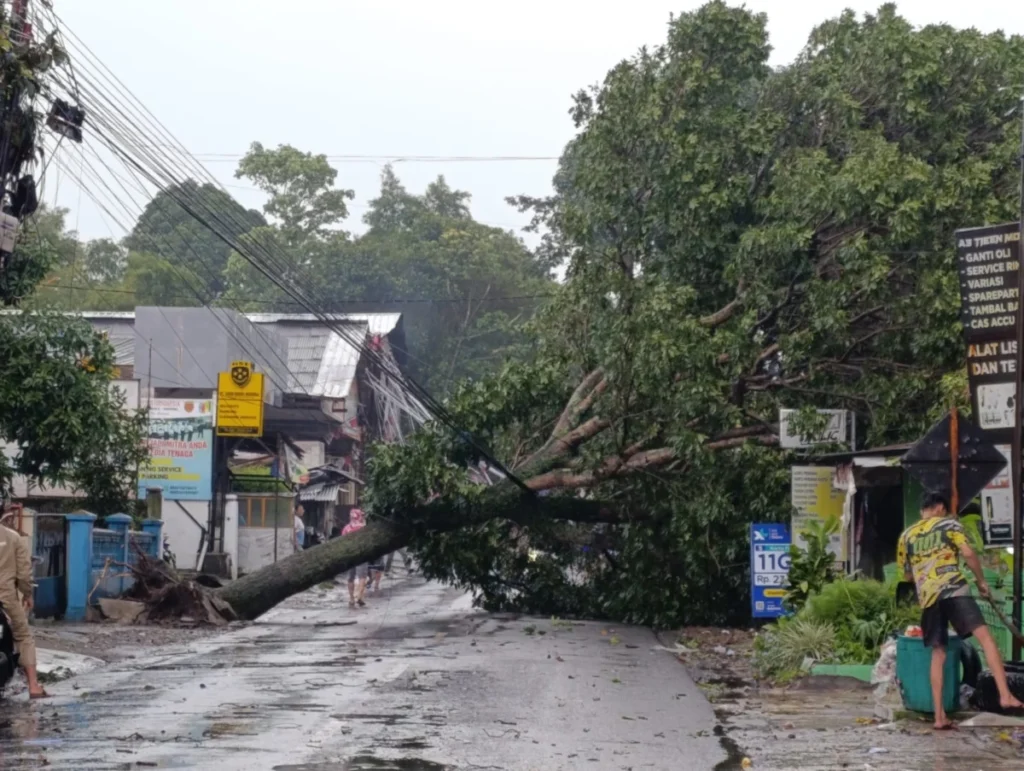 Pohon Besar Tumbang di Cireungit Jalan Samarang Timpa Rumah dan Konter, Kamis (13/3).