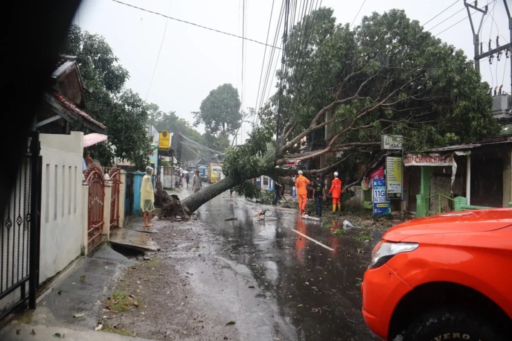 Pohon tumbang menutup jalan Samarang di Kampung Cireungit