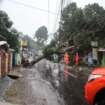 Pohon tumbang menutup jalan Samarang di Kampung Cireungit