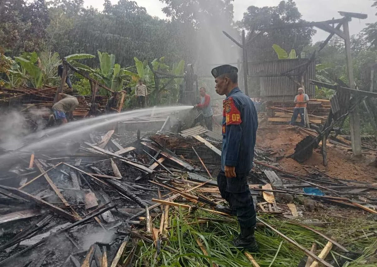 Los Penggergajian Kayu di Pameungpeuk Garut Terbakar, Diduga Akibat ...