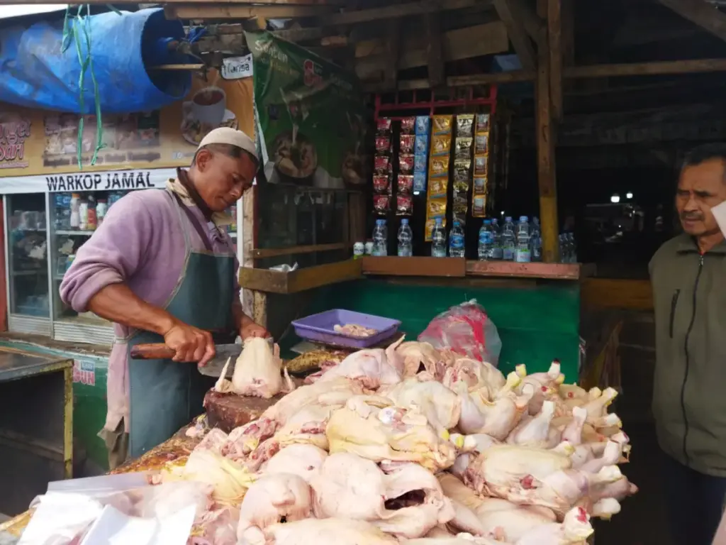 Pedagang ayam pedaging