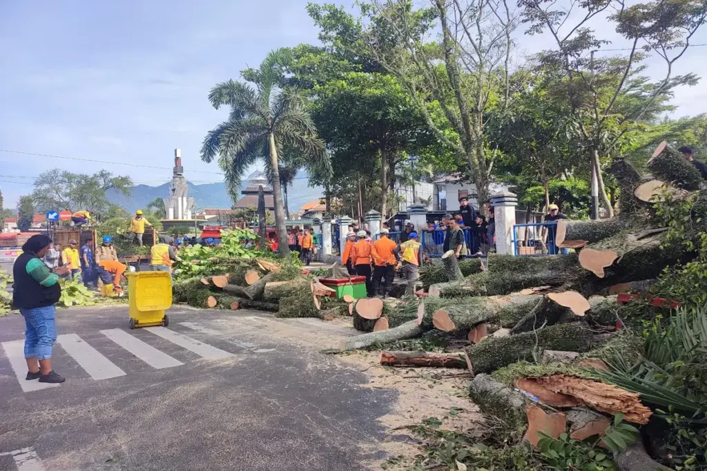 pohon tumbang di Tarogong