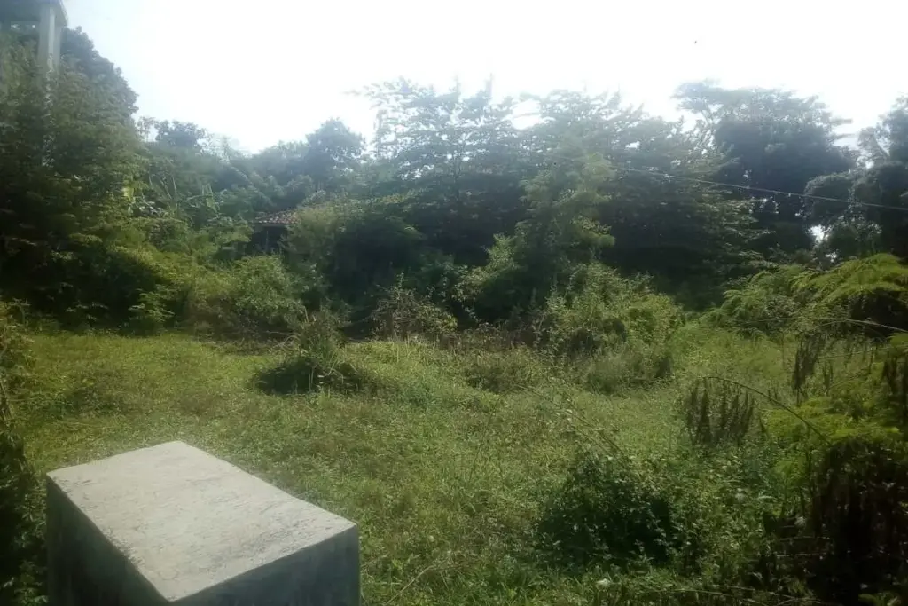 Masjid Anajah Cibatu tertutup semak liar