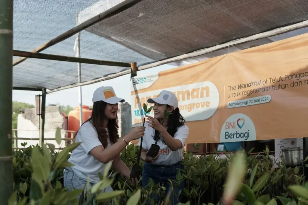 BNI dukung konservasi mangrove