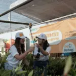 BNI dukung konservasi mangrove