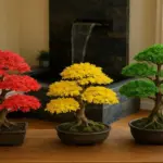 ilustrasi Bonsai yang cocok ditanam di dalam ruangan rumah