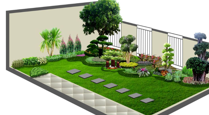 Desain Tanaman Hias yang Modern dan Minimalis: Mempercantik Ruangan