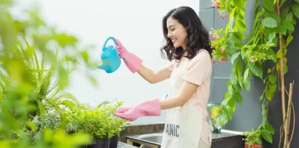 Tanaman Pembersih Udara yang Cocok untuk Ruangan Tertutup