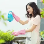 Tanaman Pembersih Udara yang Cocok untuk Ruangan Tertutup