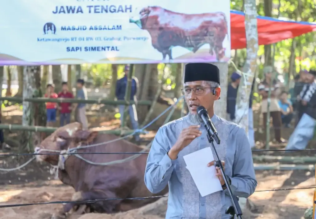 sapi kurban amanah Presiden diserahkan Desa Ketawangrejo, Grabag, Kabupaten Purworejo