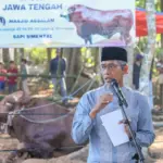 sapi kurban amanah Presiden diserahkan Desa Ketawangrejo, Grabag, Kabupaten Purworejo