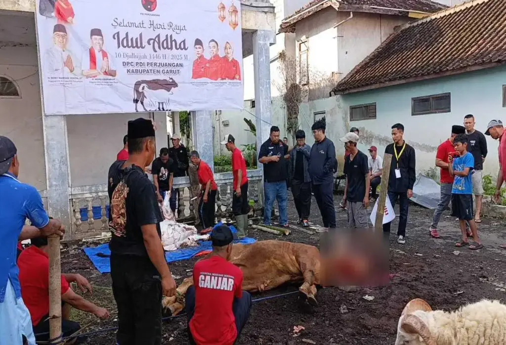 tiga hewan kurban disembelih di kantor DPC PDI Perjuangan Kabupaten Garut