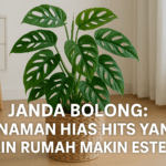 Janda Bolong: Tanaman Hias Hits yang Bikin Rumah Makin Estetik