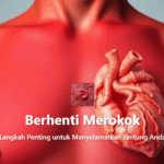 Berhenti Merokok, Langkah Penting untuk Menyelamatkan Jantung Anda