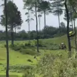 istimewa
