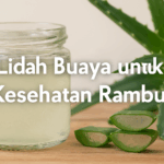 Lidah Buaya untuk Kesehatan Rambut
