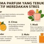 Siapa Sanga? Parfume dengan Aroma Ini Bisa Bantu Atasi Stress!