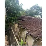 rumah guru honorer
