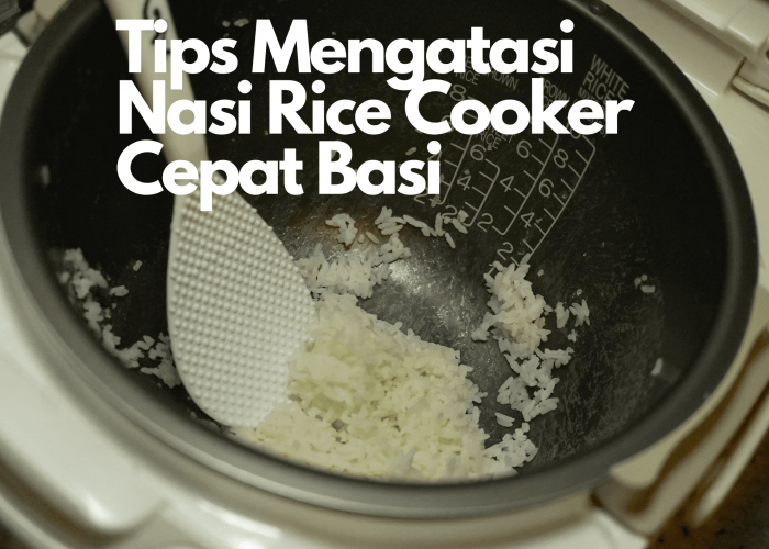 Cara Memasak Porsi Besar agar Tidak Cepat Basi: Tips Hemat untuk Dapur Usaha
