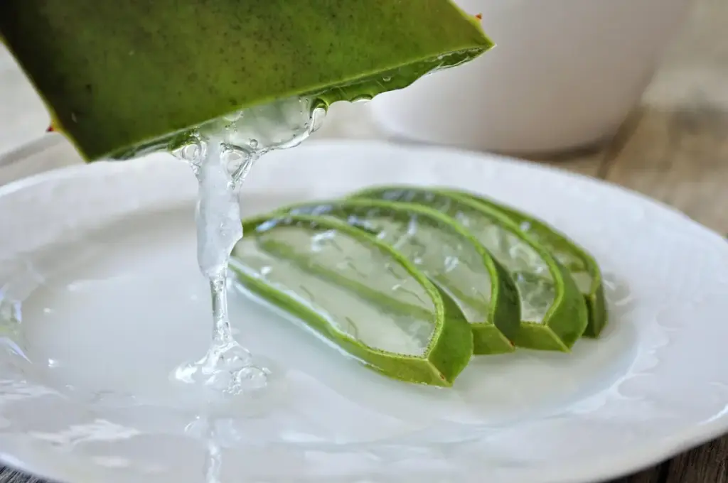inilah 5 manfaat lidah buaya untuk kesehatan