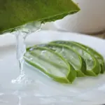 inilah 5 manfaat lidah buaya untuk kesehatan