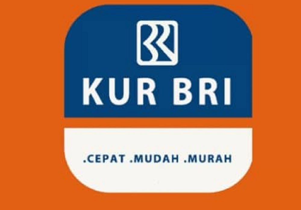 Cara Mengajukan KUR Pinjaman BRI