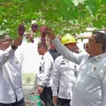 istimewa