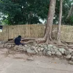 peziarah dari Sumatera di kompleks Makam Syekh Jafar Sidiq