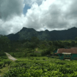 pemekaran garut selatan