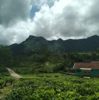 pemekaran garut selatan