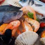 makanan laut garut
