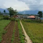 Jembatan Bambu Ikon Wisata Mukti Cai Kini Tinggal Kenangan