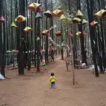 Leuweung Oko D'Great Garut