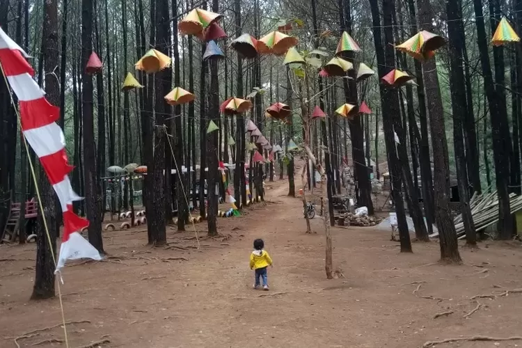 Nikmati Keindahan Alam dan Spot Instagramable di Leuweung Oko D Great Leuweung Oko D'Great Garut