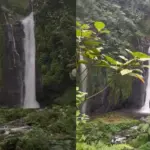 istimewa