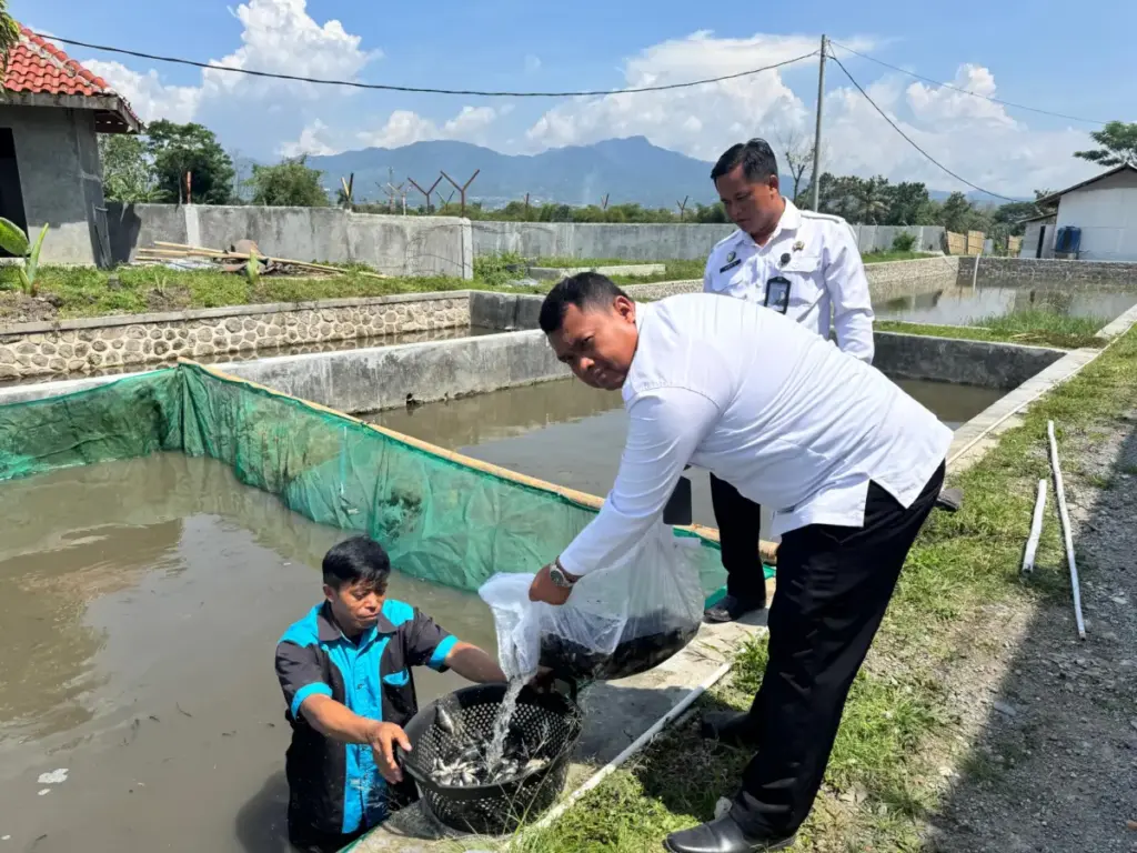 Petugas Lapas Garut bersama WBP tebar benih ikan nila di kolam ikan SAE