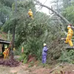 Jalan raya Cikajang-Pameungpeuk, di kawasan Gunung Gelap, Desa Mekarwangi, Kecamatan Cihurip, sempat tertutup