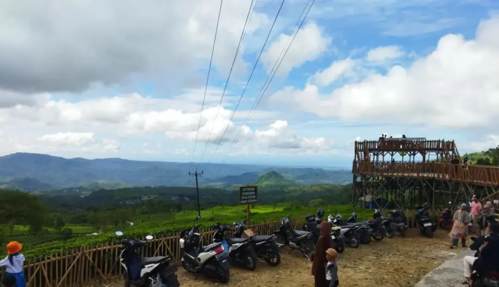 Adem Banget! Hamparan Kebun Teh Puncak Lendra Jadi Spot Terbaik di Garut Saung Pantau Puncak Lendra Cisompet Garut. (Foto:Rizki/Radar Garut)