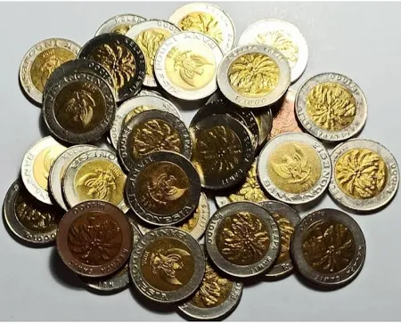 7 Uang Koin Kuno Indonesia yang Paling Dicari Kolektor, Harganya Bisa Tembus Ratusan Juta! uang koin kuno indonesia yang paling banyak dicari kolektor