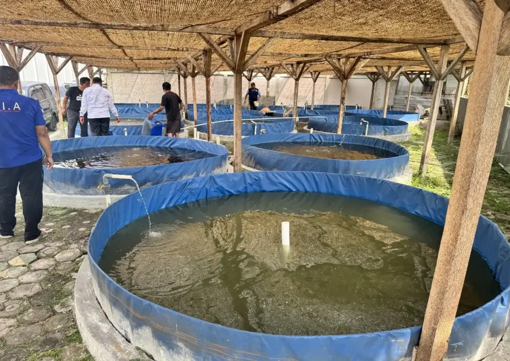 Lapas Garut tebar bibit ikan lele dengan sistem bioflok