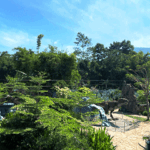 tempat wisata di garut yang lagi hits