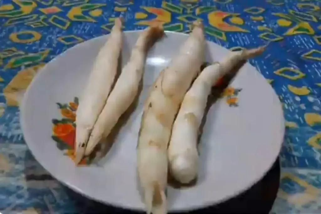 umbi garut ( youtube seribu manfaat)